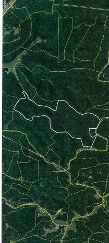 290 Hazel Huffines Lane Whitleyville TN 38588