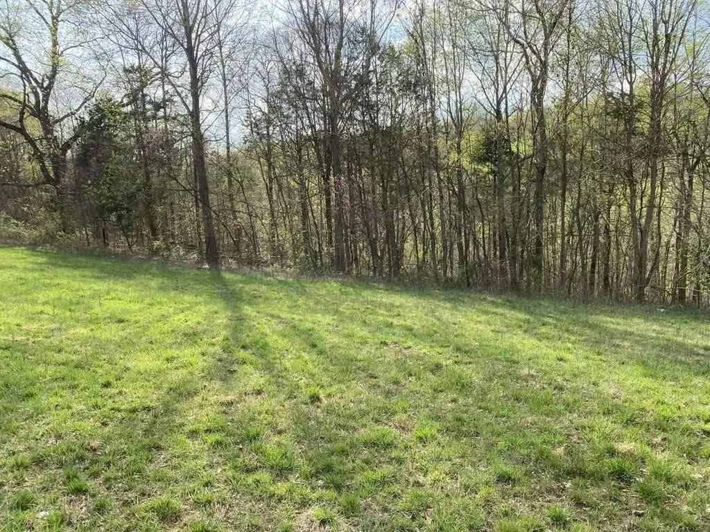0 Carthage Road Lot 6 Pleasant Shade TN 37145