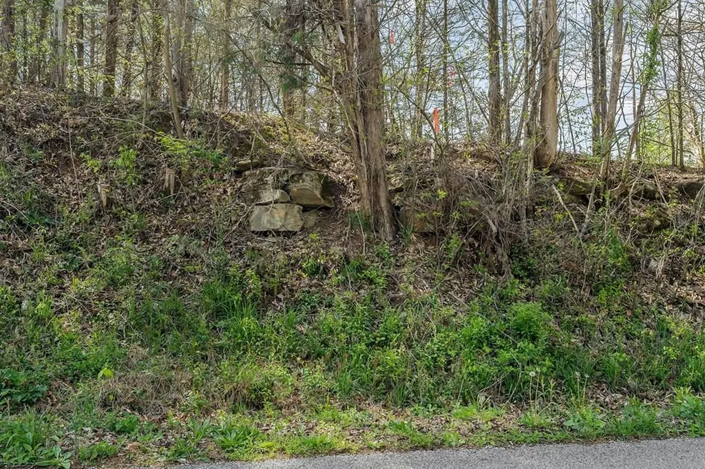 00 Big Springs Farm - Tract 26-31 Monroe TN 38573