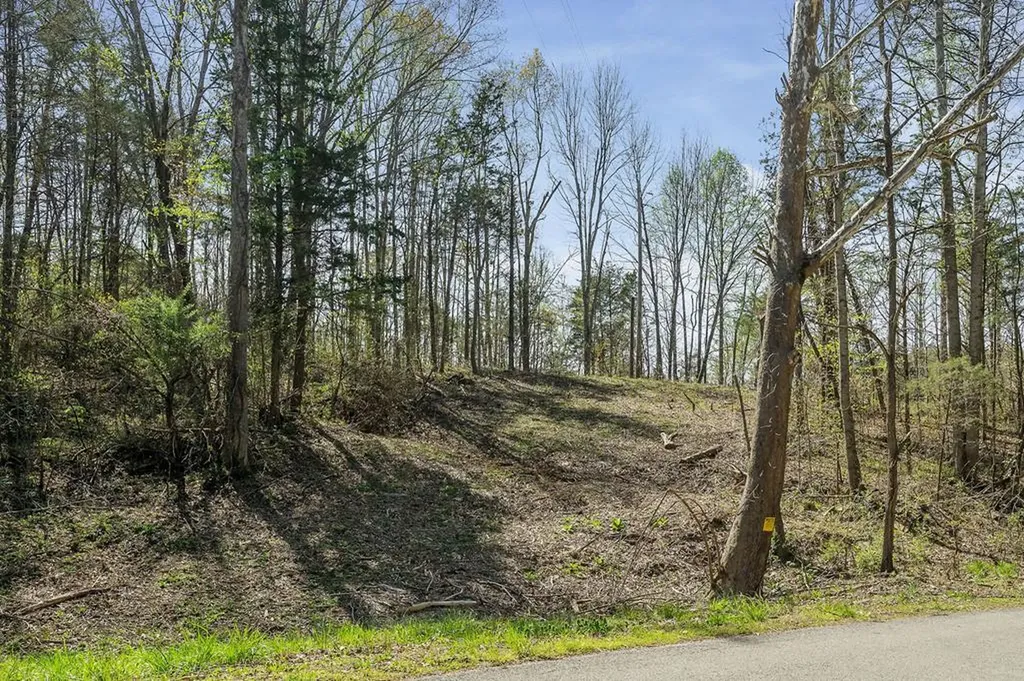 00 Big Springs Farm - Tract 26-31 Monroe TN 38573
