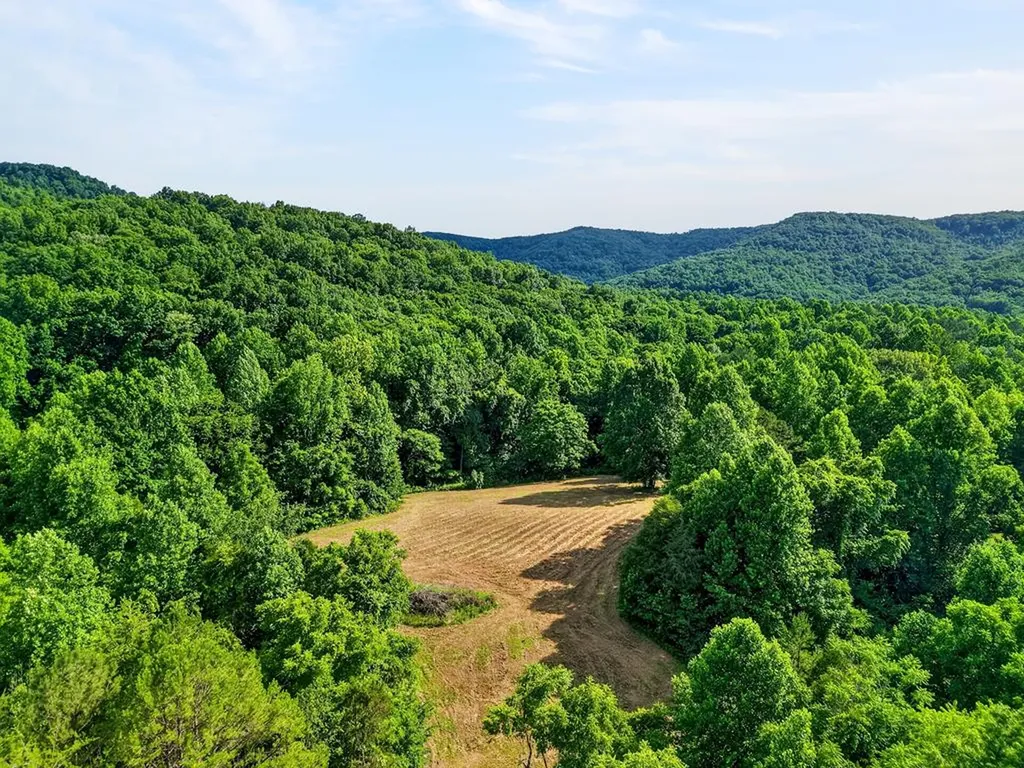 0 Buffalo Cove Lane Jamestown TN 38556