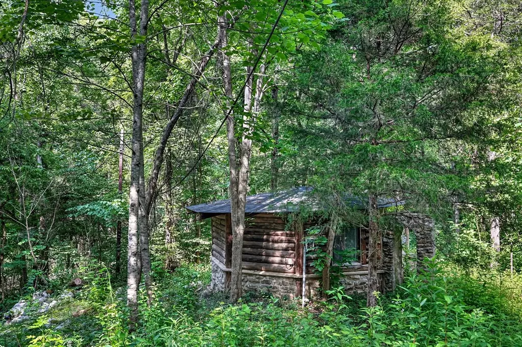 0 Buffalo Cove Lane Jamestown TN 38556