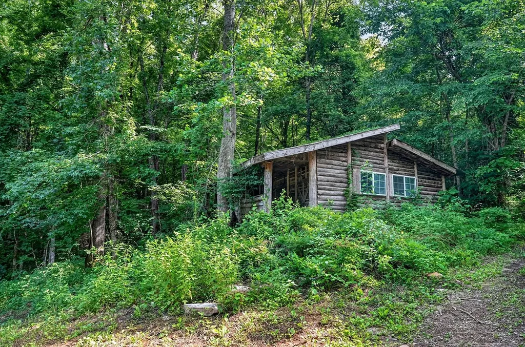 0 Buffalo Cove Lane Jamestown TN 38556