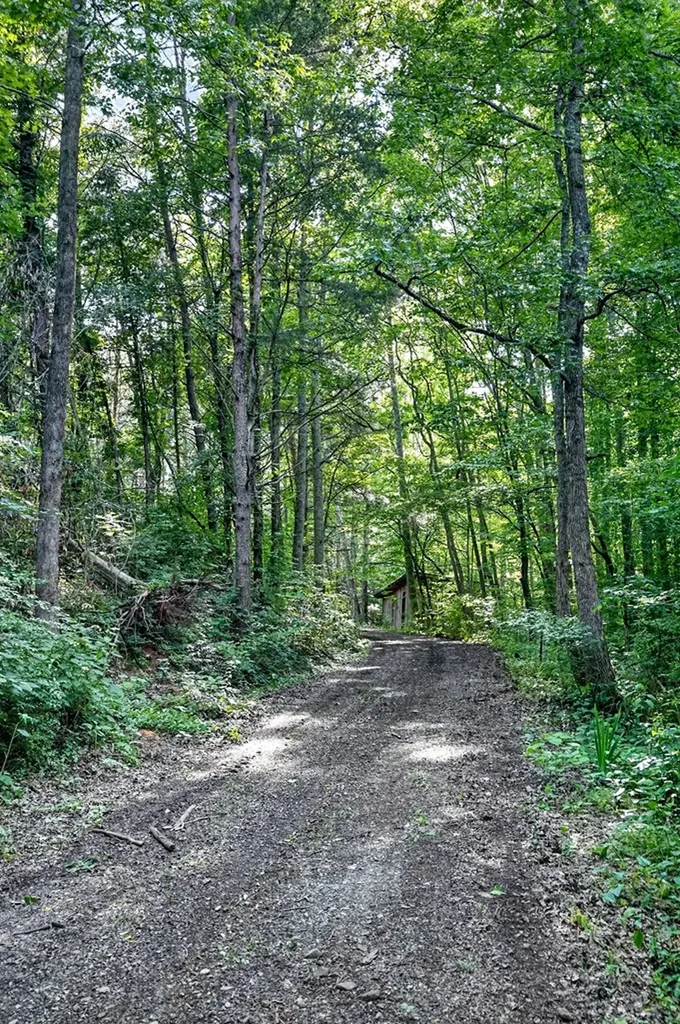 0 Buffalo Cove Lane Jamestown TN 38556