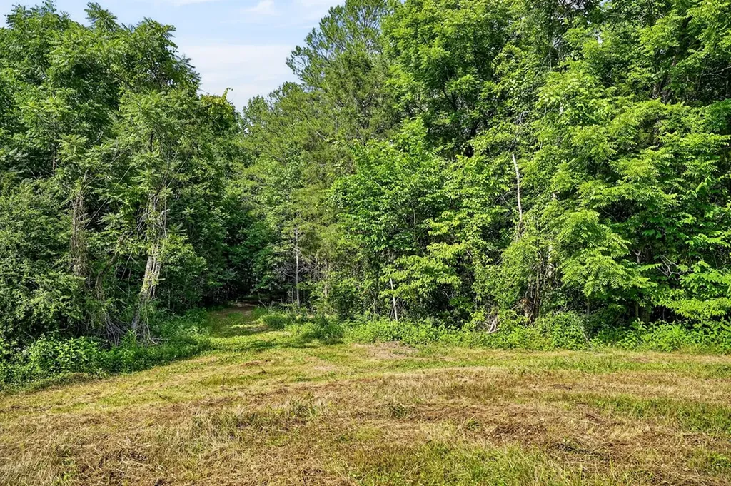 0 Buffalo Cove Lane Jamestown TN 38556