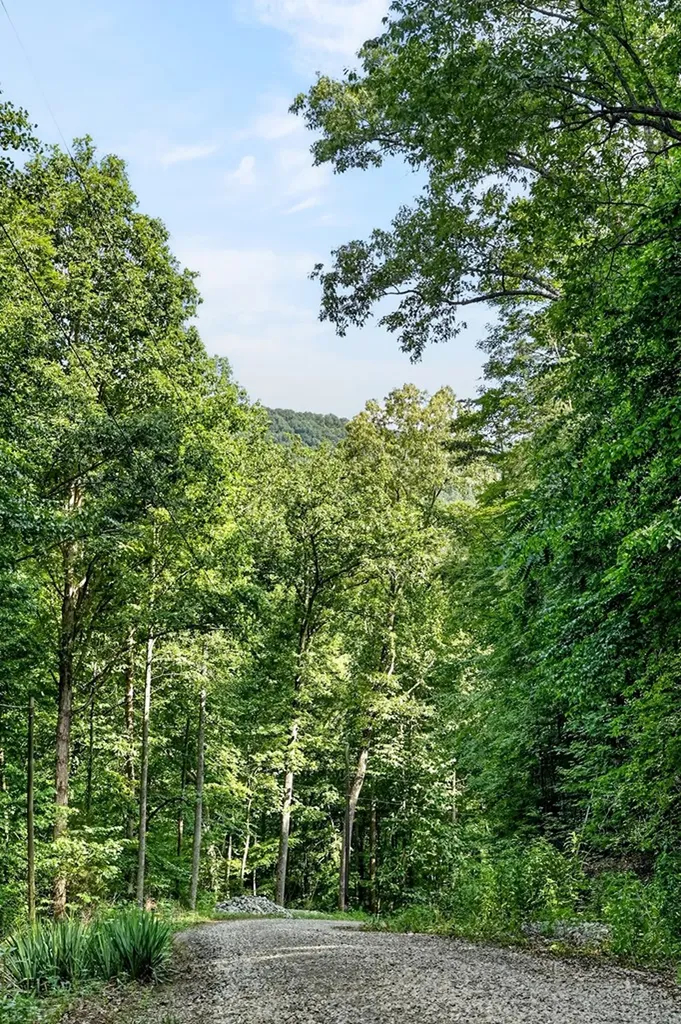 0 Buffalo Cove Lane Jamestown TN 38556