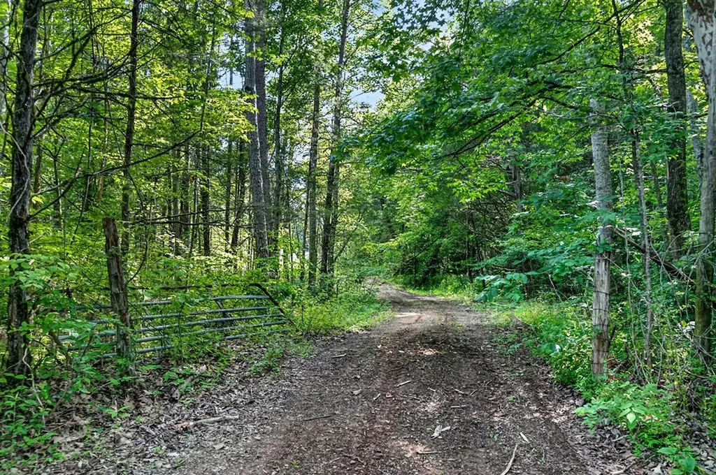 0 Buffalo Cove Lane Jamestown TN 38556