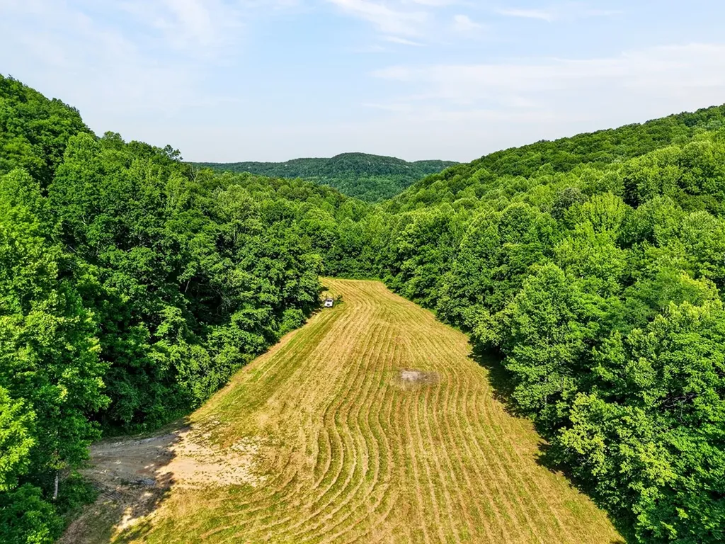 0 Buffalo Cove Lane Jamestown TN 38556
