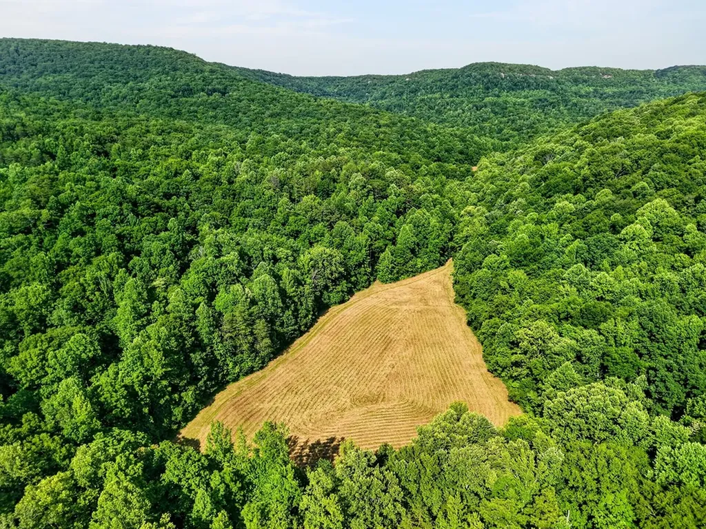 0 Buffalo Cove Lane Jamestown TN 38556