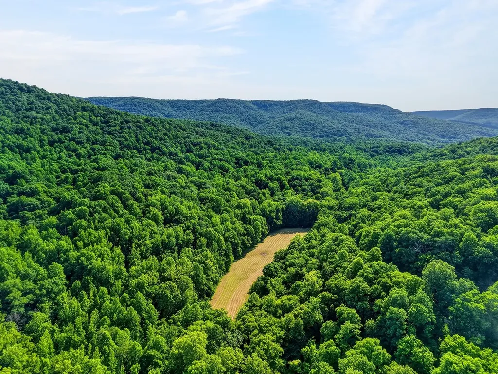 0 Buffalo Cove Lane Jamestown TN 38556