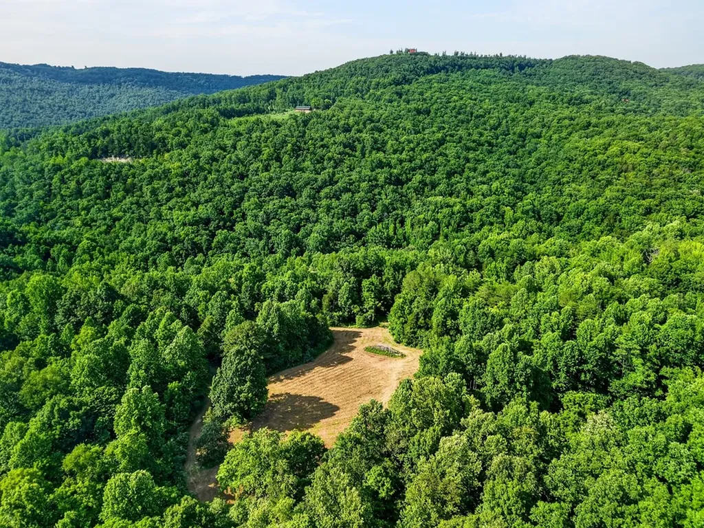 0 Buffalo Cove Lane Jamestown TN 38556