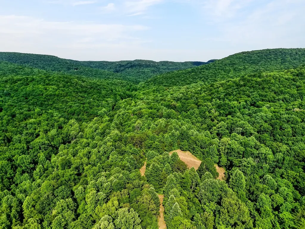0 Buffalo Cove Lane Jamestown TN 38556