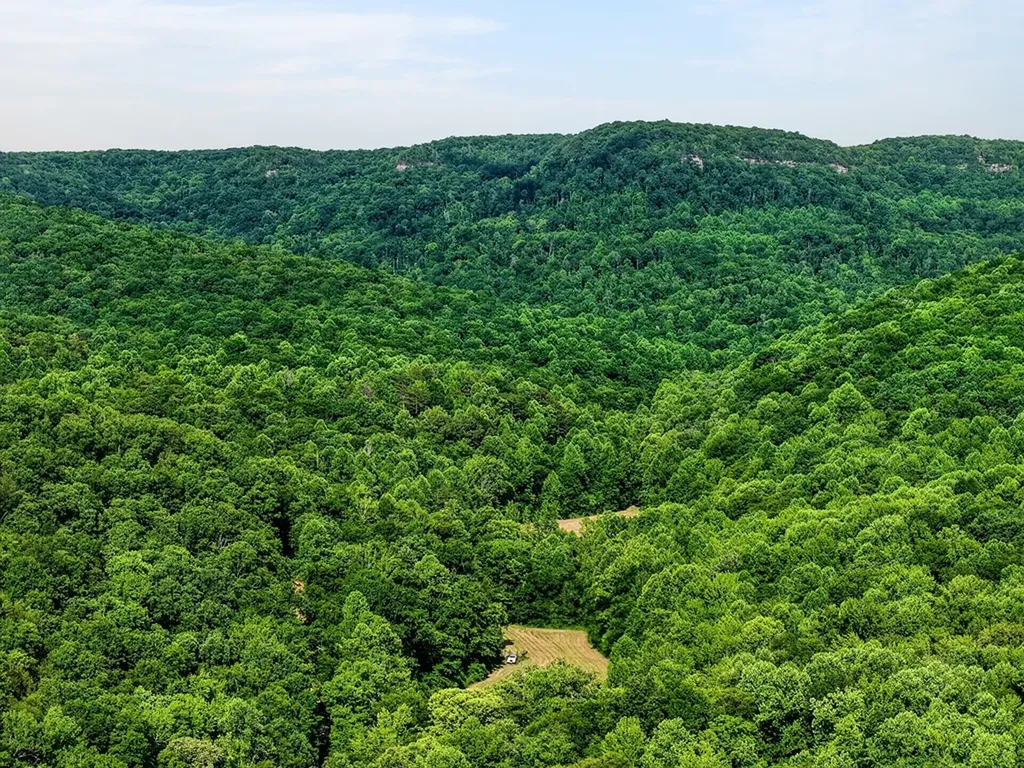 0 Buffalo Cove Lane Jamestown TN 38556