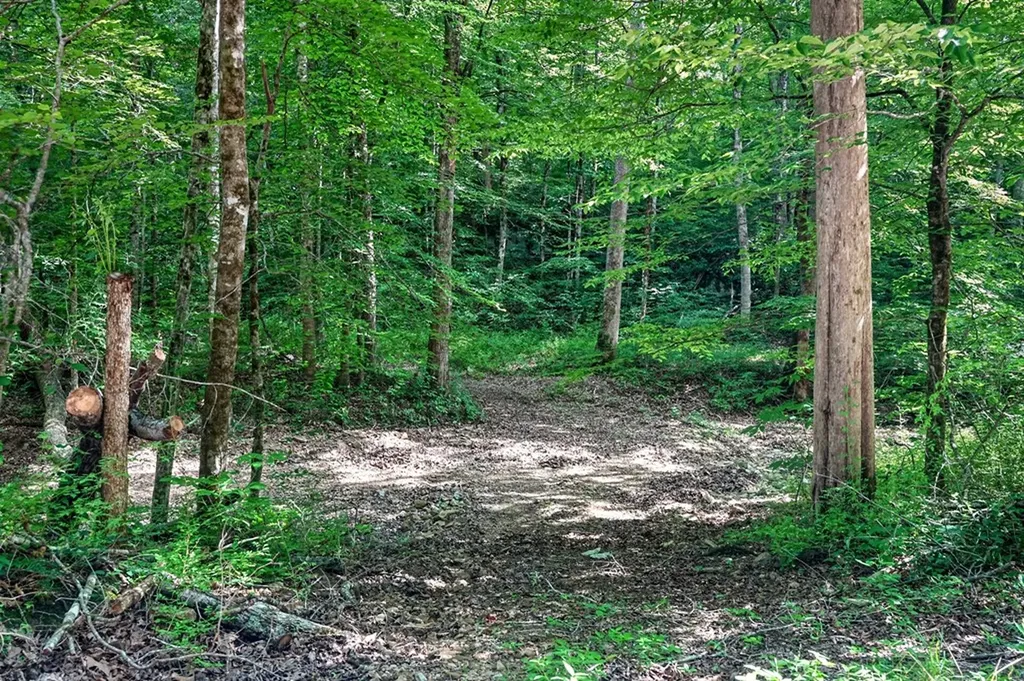 0 Buffalo Cove Lane Jamestown TN 38556