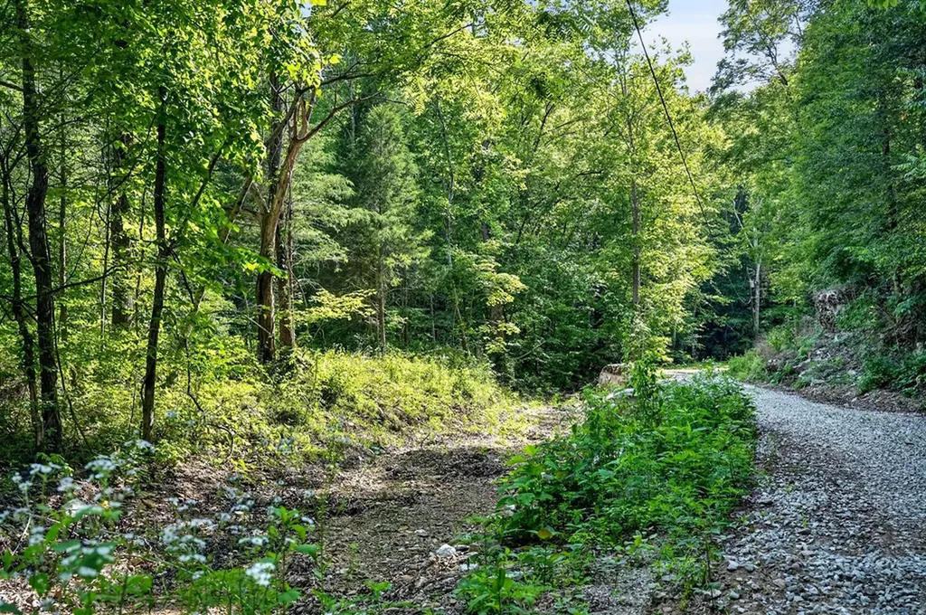 0 Buffalo Cove Lane Jamestown TN 38556