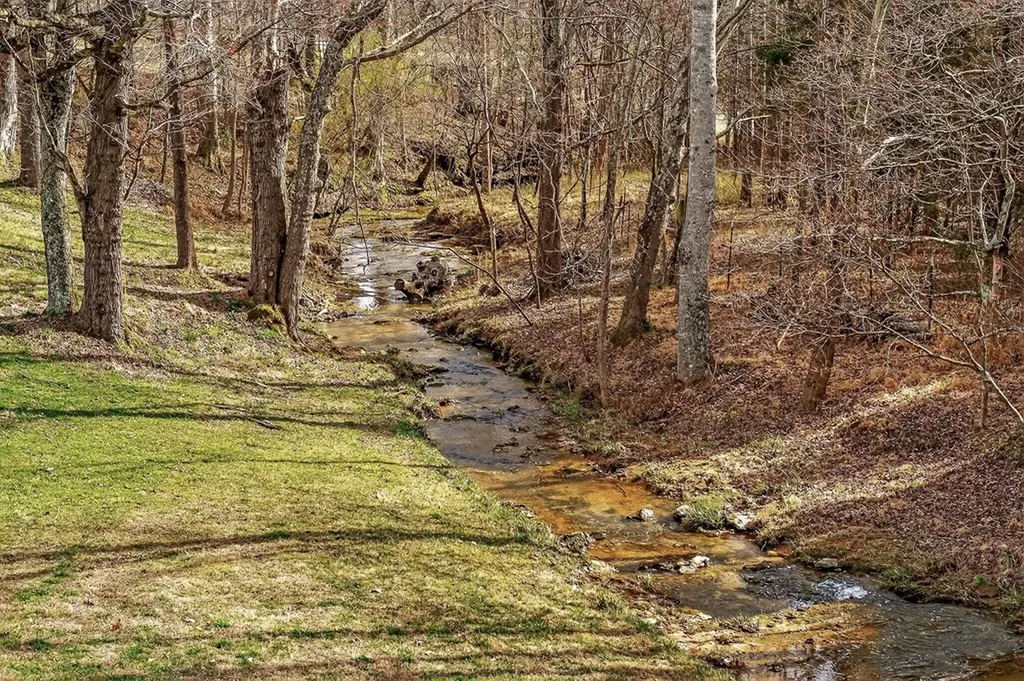 1603 Coon Hunt Road Baxter TN 38544