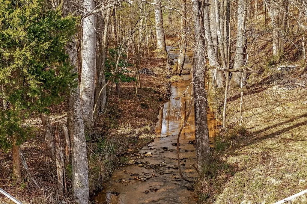 1603 Coon Hunt Road Baxter TN 38544