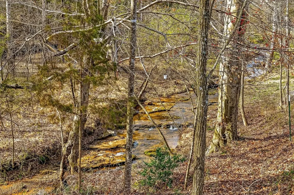 1603 Coon Hunt Road Baxter TN 38544