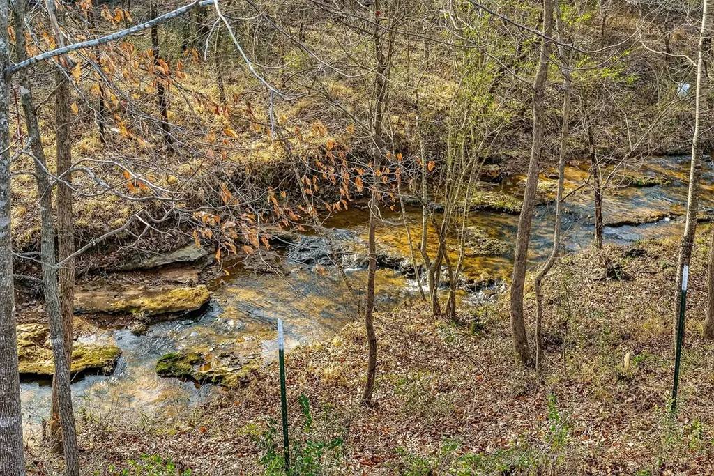 1603 Coon Hunt Road Baxter TN 38544