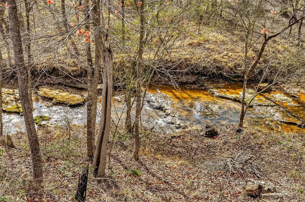 1603 Coon Hunt Road Baxter TN 38544