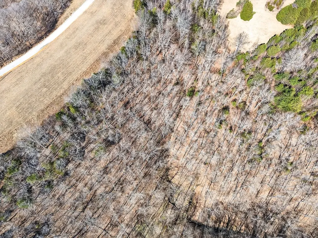Lot 7 Terrapin Ridge Road Hilham TN 38568
