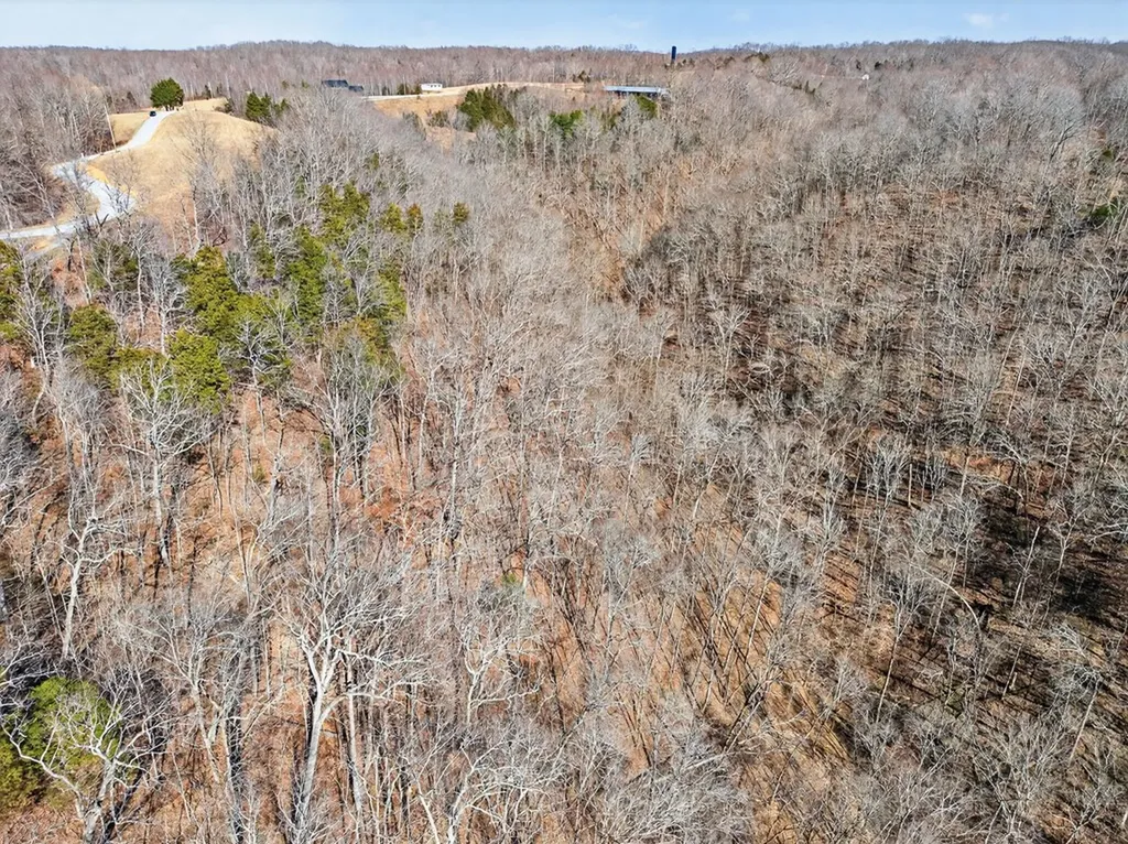 Lot 7 Terrapin Ridge Road Hilham TN 38568