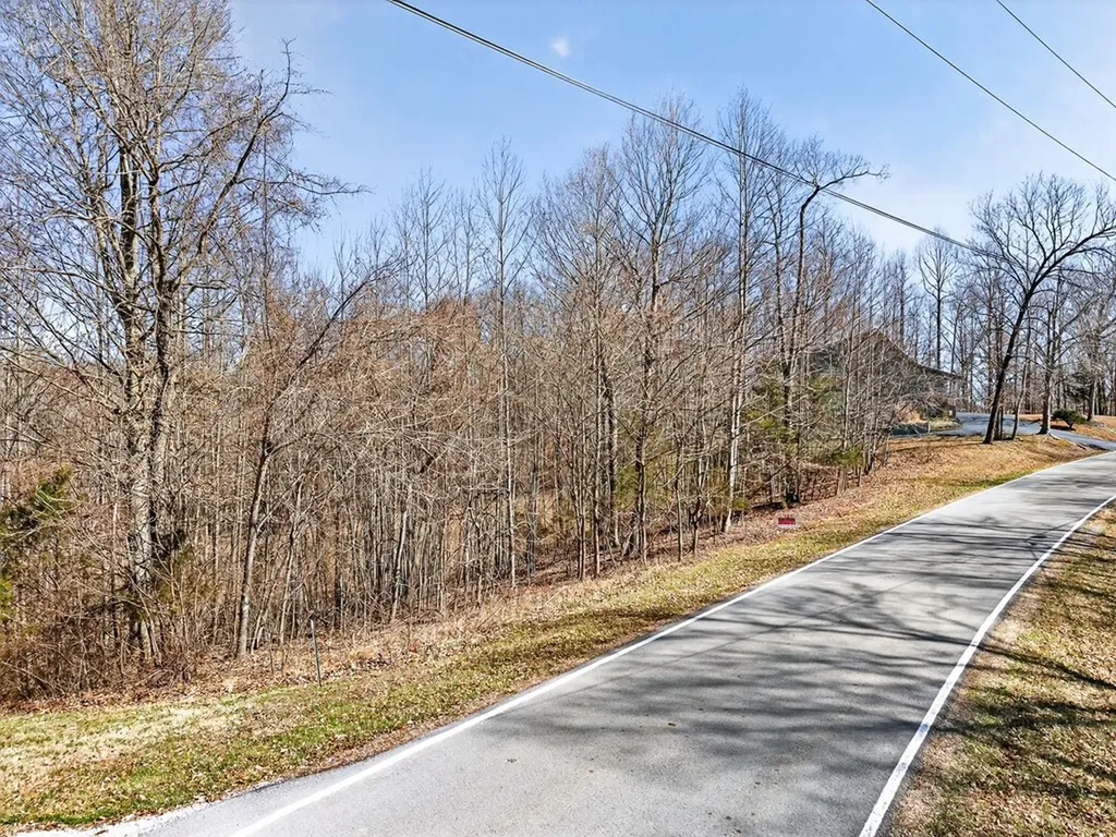 67 & 68 Lillydale Road Byrdstown TN 38549