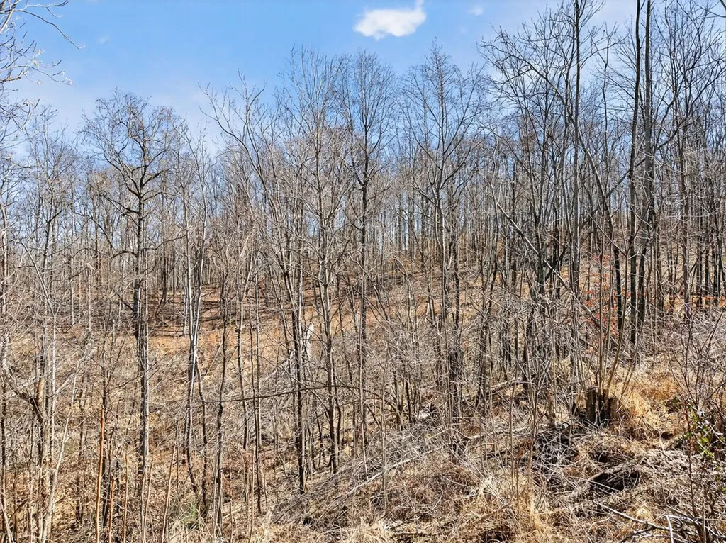 67 & 68 Lillydale Road Byrdstown TN 38549