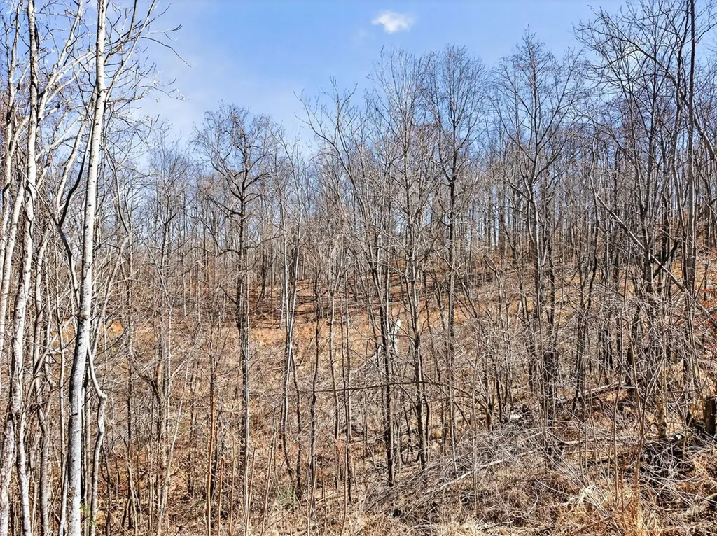 67 & 68 Lillydale Road Byrdstown TN 38549