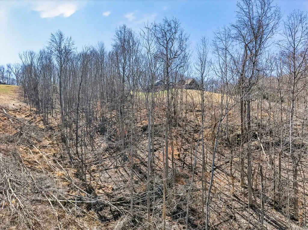 67 & 68 Lillydale Road Byrdstown TN 38549