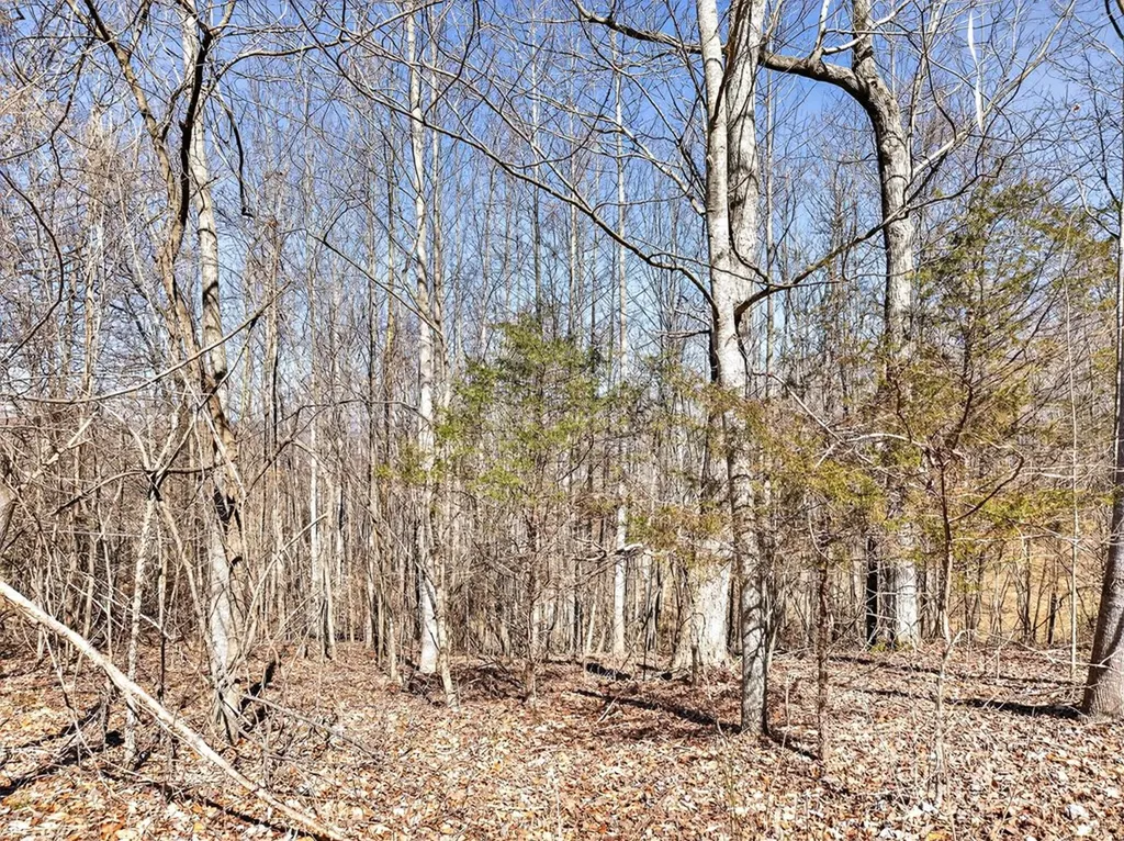 67 & 68 Lillydale Road Byrdstown TN 38549