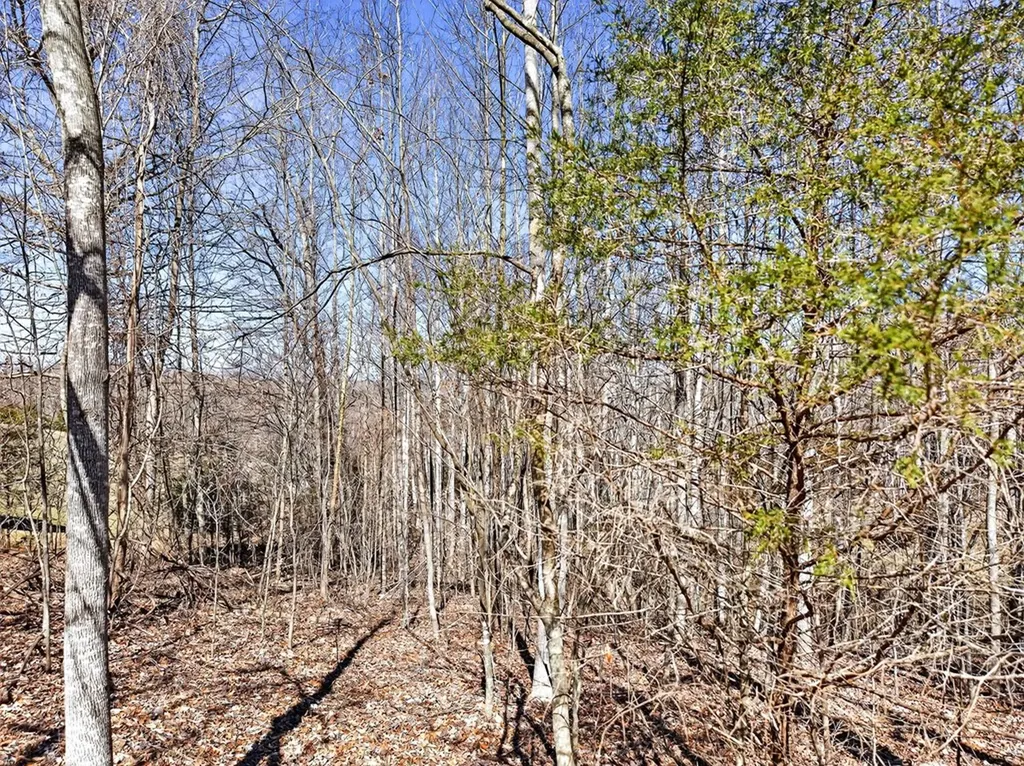 67 & 68 Lillydale Road Byrdstown TN 38549