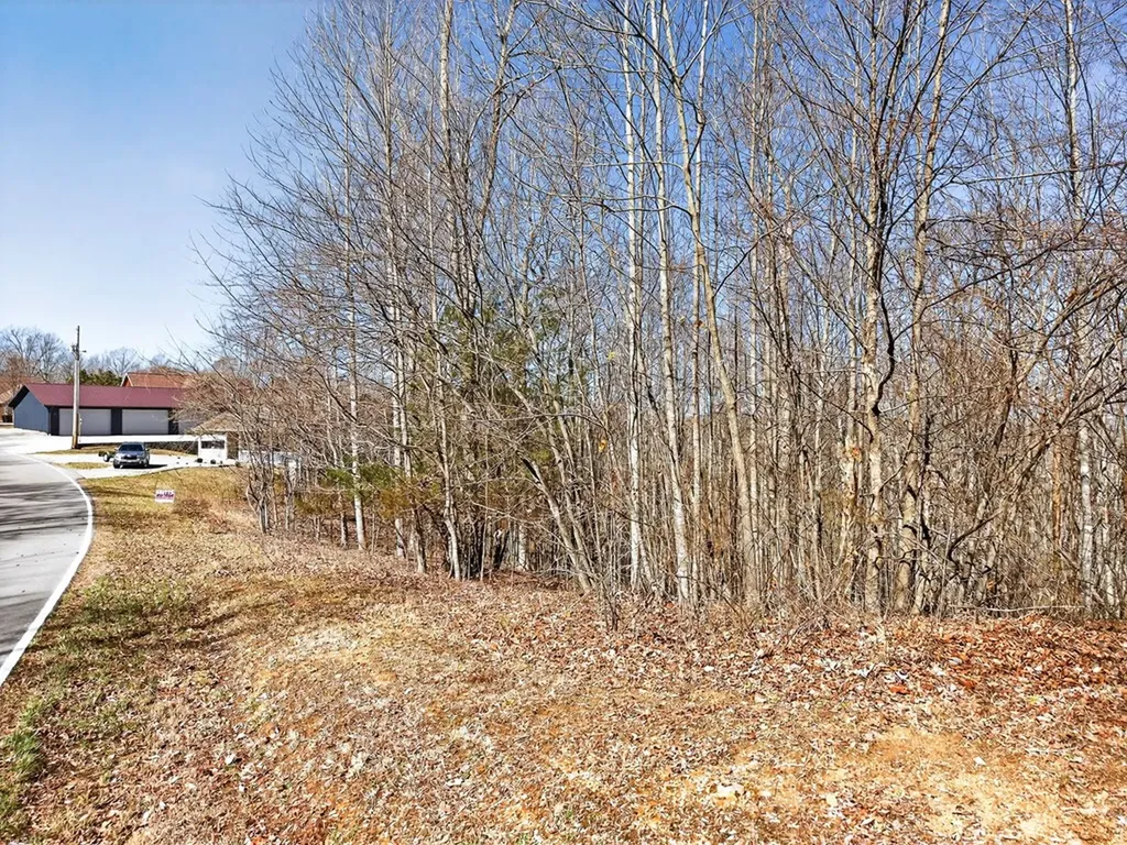 67 & 68 Lillydale Road Byrdstown TN 38549
