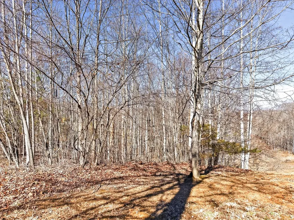 67 & 68 Lillydale Road Byrdstown TN 38549