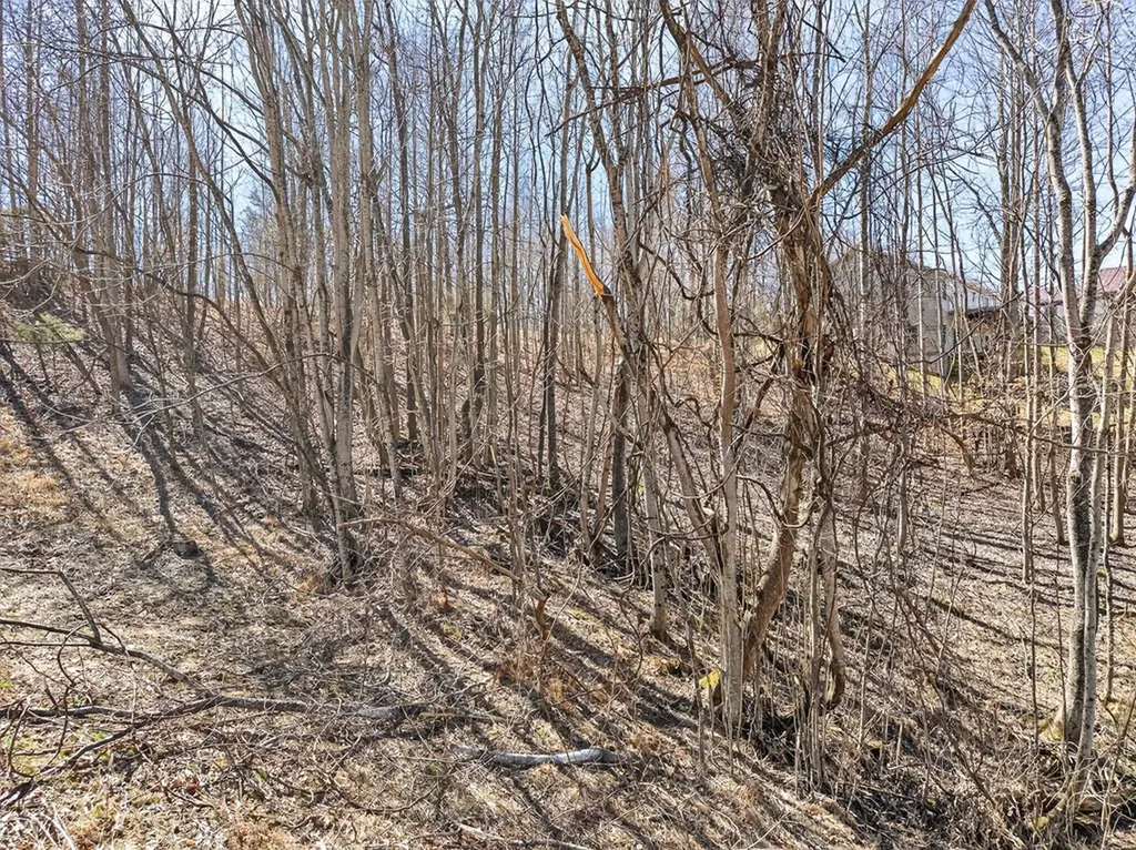 67 & 68 Lillydale Road Byrdstown TN 38549