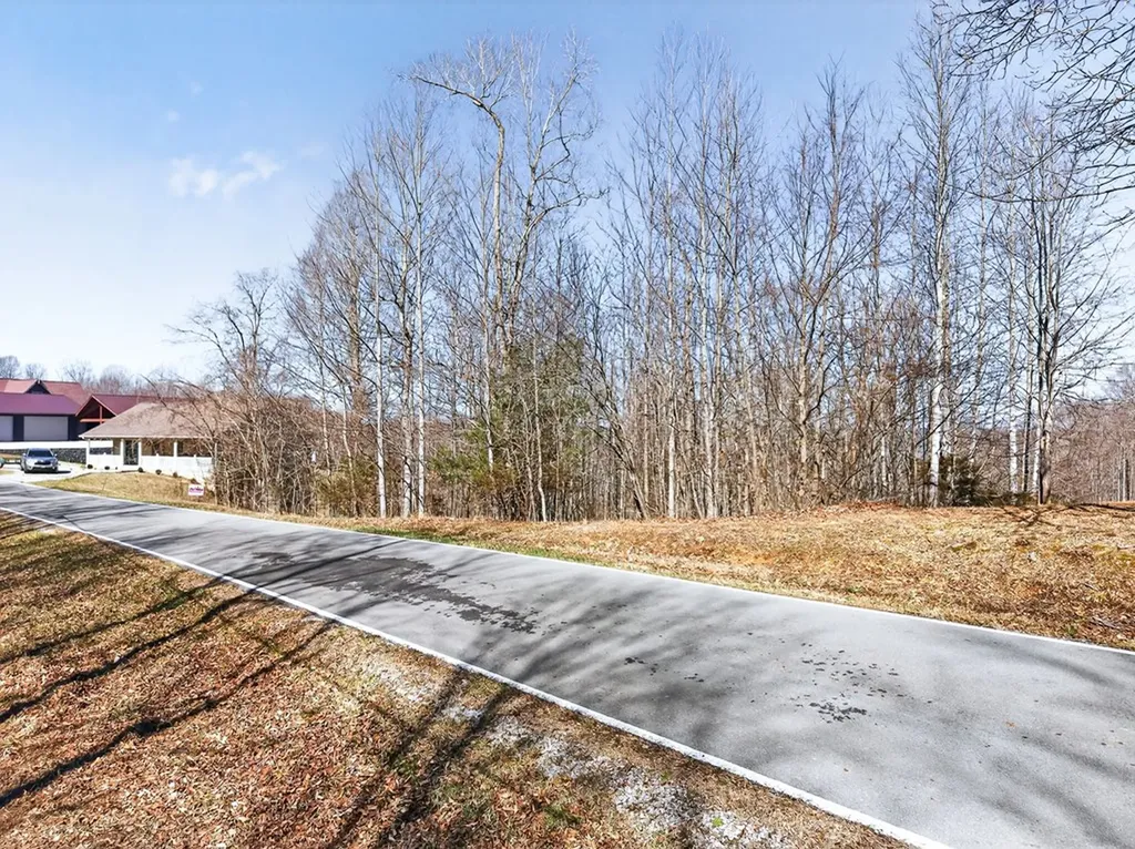 67 & 68 Lillydale Road Byrdstown TN 38549