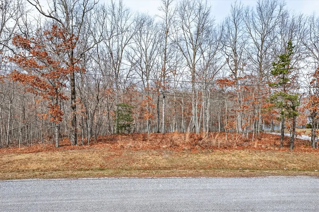 235 Sycamore Bend Monterey TN 38574