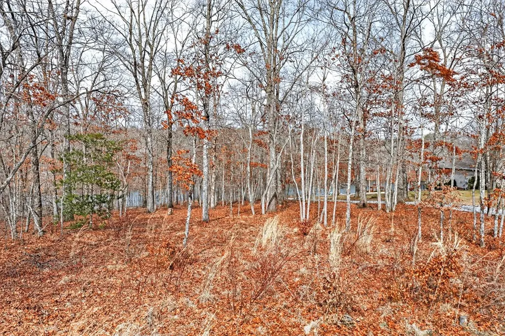 235 Sycamore Bend Monterey TN 38574