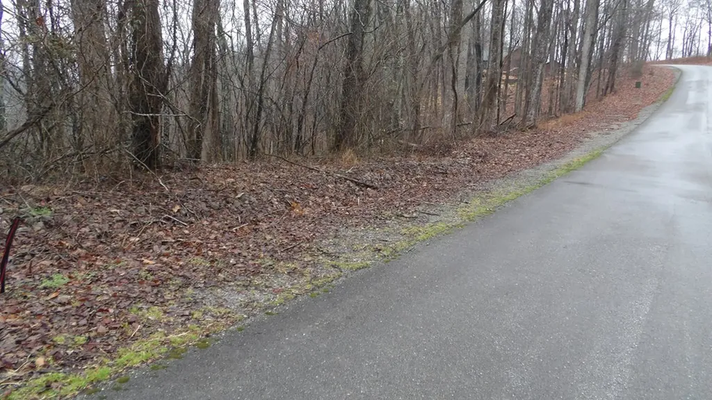 17 & 18 Savannah Drive Smithville TN 37166