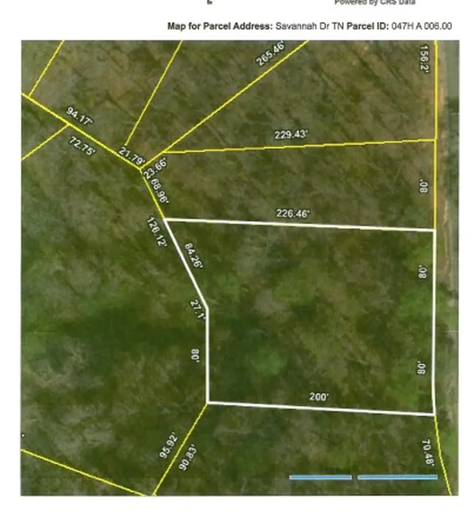 17 & 18 Savannah Drive Smithville TN 37166