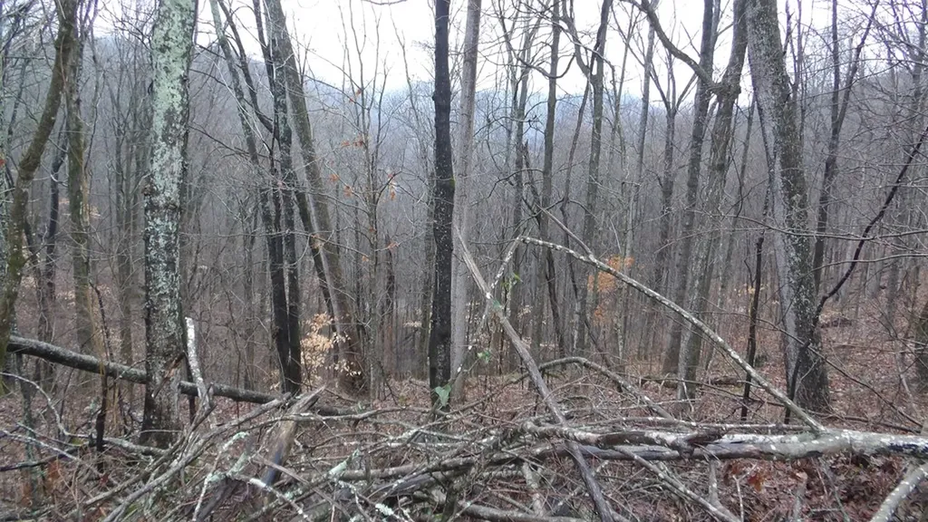 17 & 18 Savannah Drive Smithville TN 37166