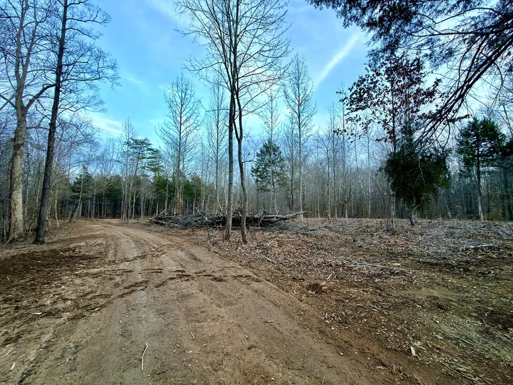 5480 Eastport Road Alpine TN 38543