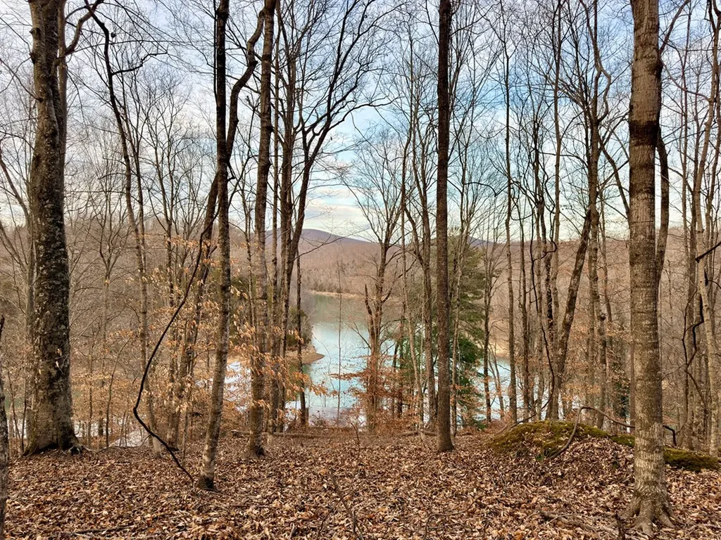 5480 Eastport Road Alpine TN 38543