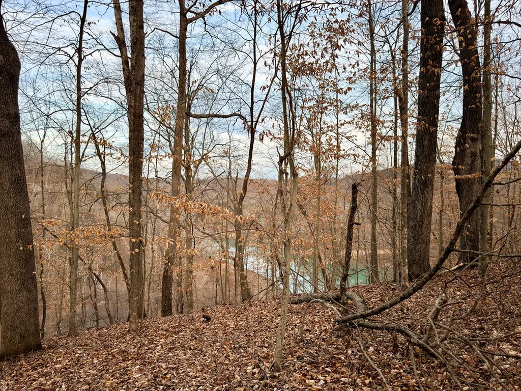 5480 Eastport Road Alpine TN 38543