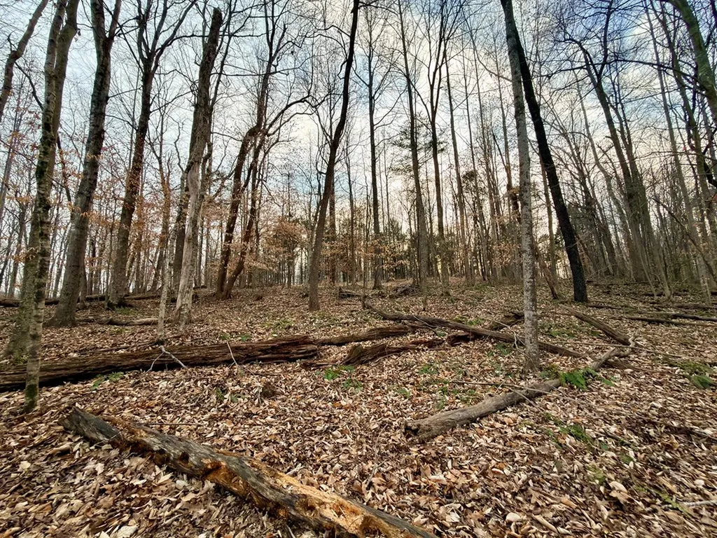 5480 Eastport Road Alpine TN 38543