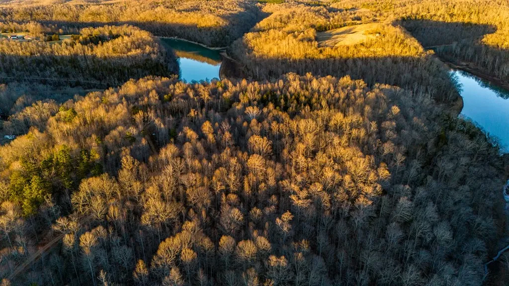 5480 Eastport Road Alpine TN 38543