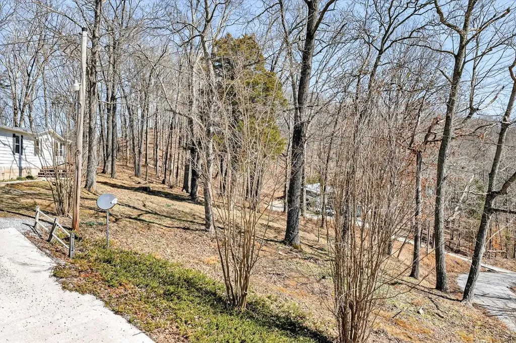 392 R J Bell Road Celina TN 38551