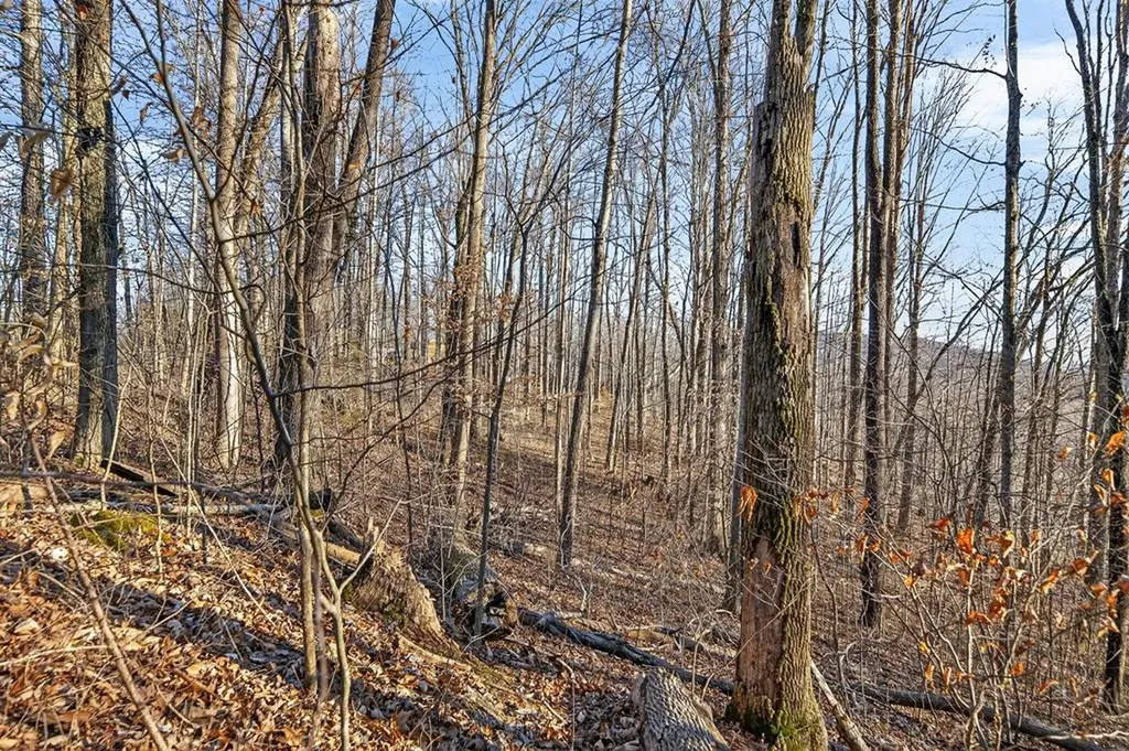 Lot 114 Faix Road Byrdstown TN 38549