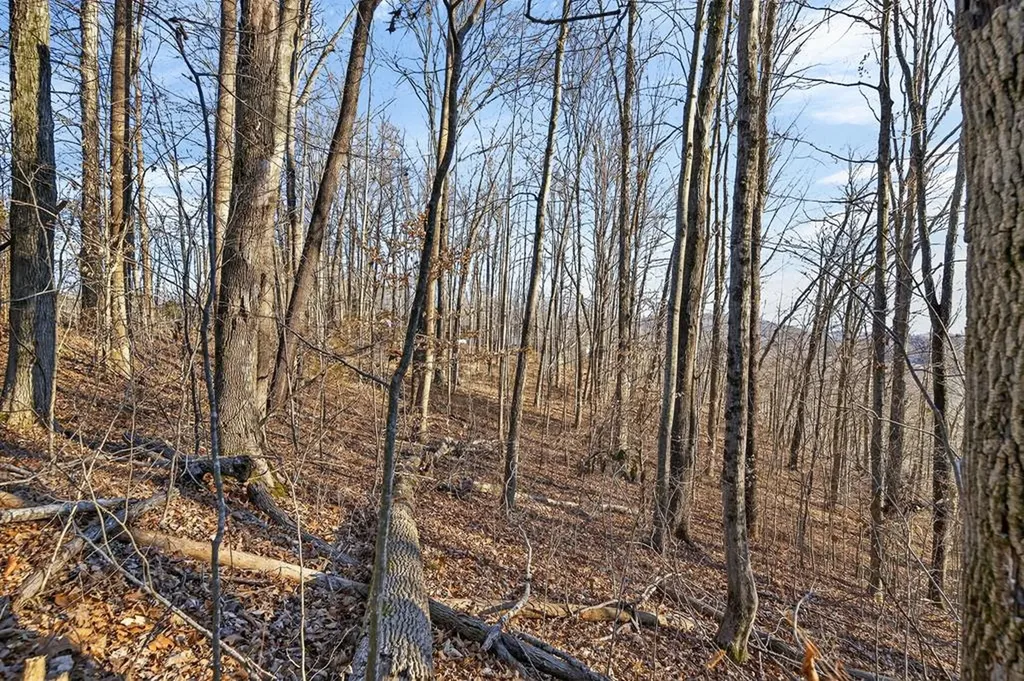 Lot 114 Faix Road Byrdstown TN 38549
