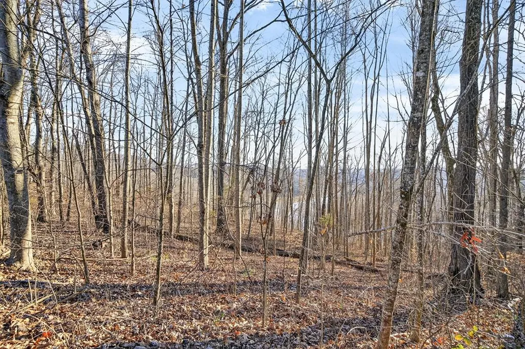 Lot 114 Faix Road Byrdstown TN 38549